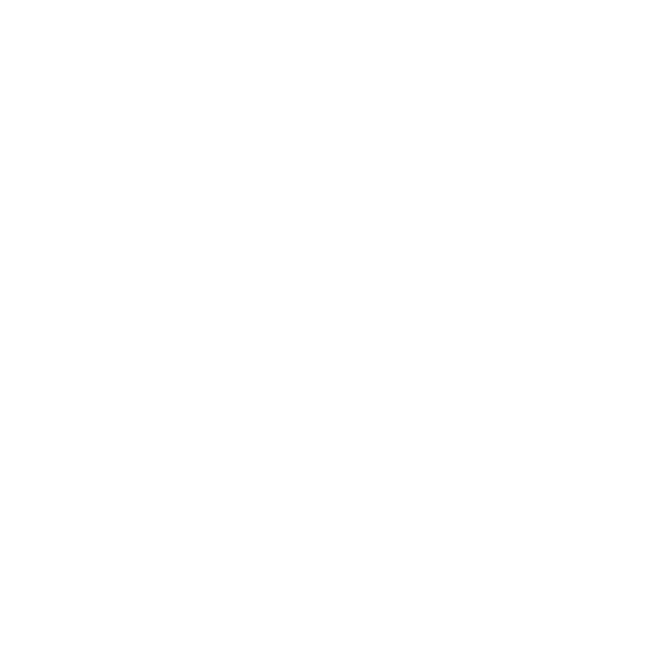 Arepa Life